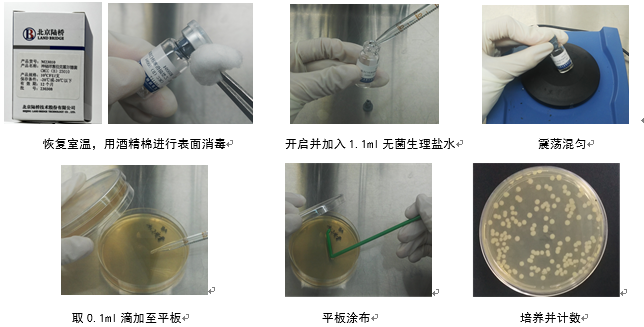 制藥行業(yè)中的隱形殺手-洋蔥伯克霍爾德菌群