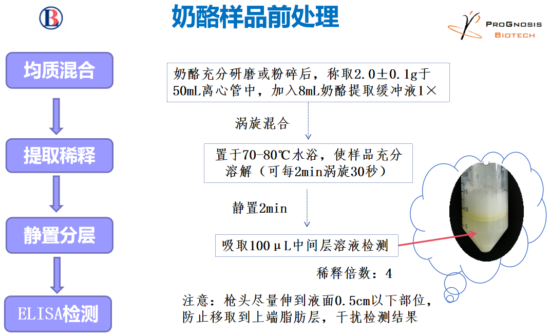 黃曲霉毒素M1的檢測