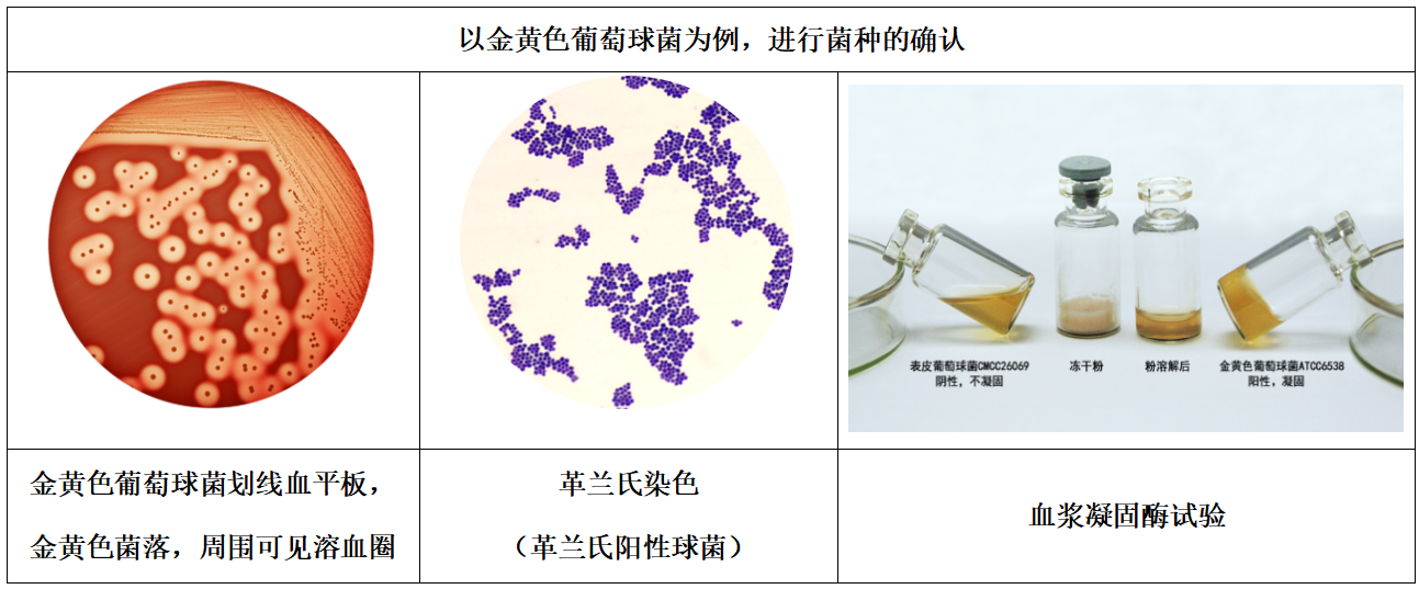 1101無菌檢查法——培養(yǎng)基適用性檢查操作要點（中國藥典2020年版四部）