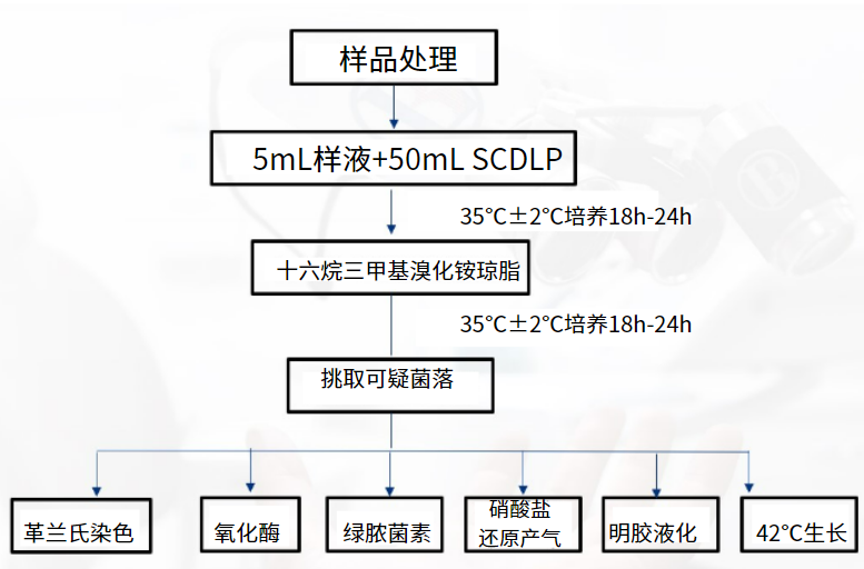 一次性衛(wèi)生用品之綠膿桿菌檢測